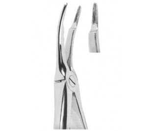 Extracting Forceps English pattern